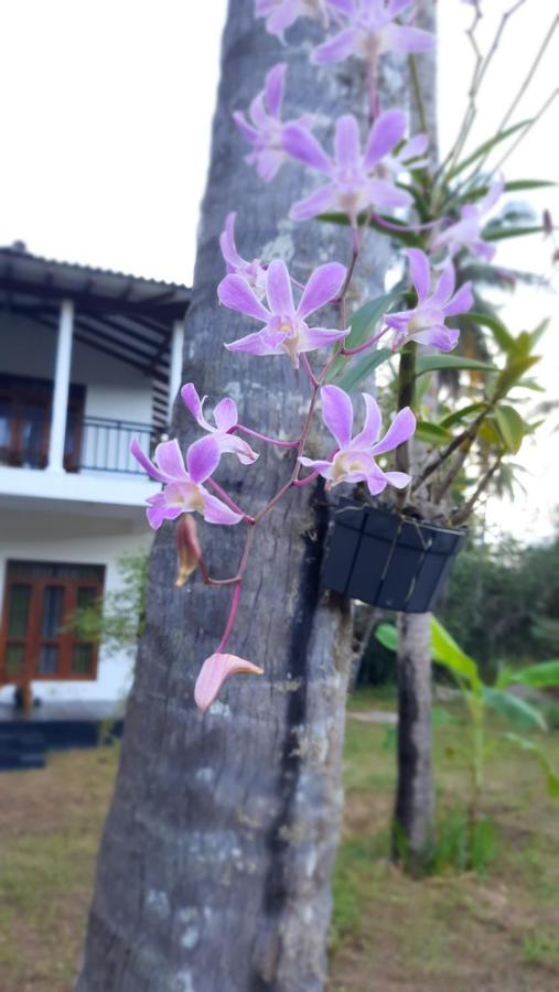 Mellow Villa Тангалла Экстерьер фото